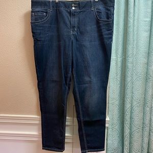 Lane Bryant Skinny Jeans